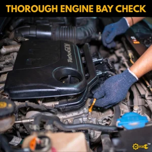 thorough engine bay check